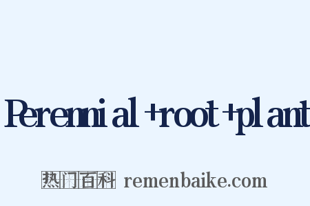 Perennial+root+plant是什么意思的图片